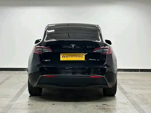 Tesla Model Y — миниатюра 8