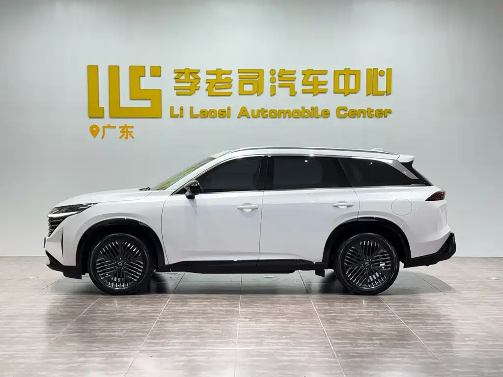 Nissan Teramont — миниатюра 4