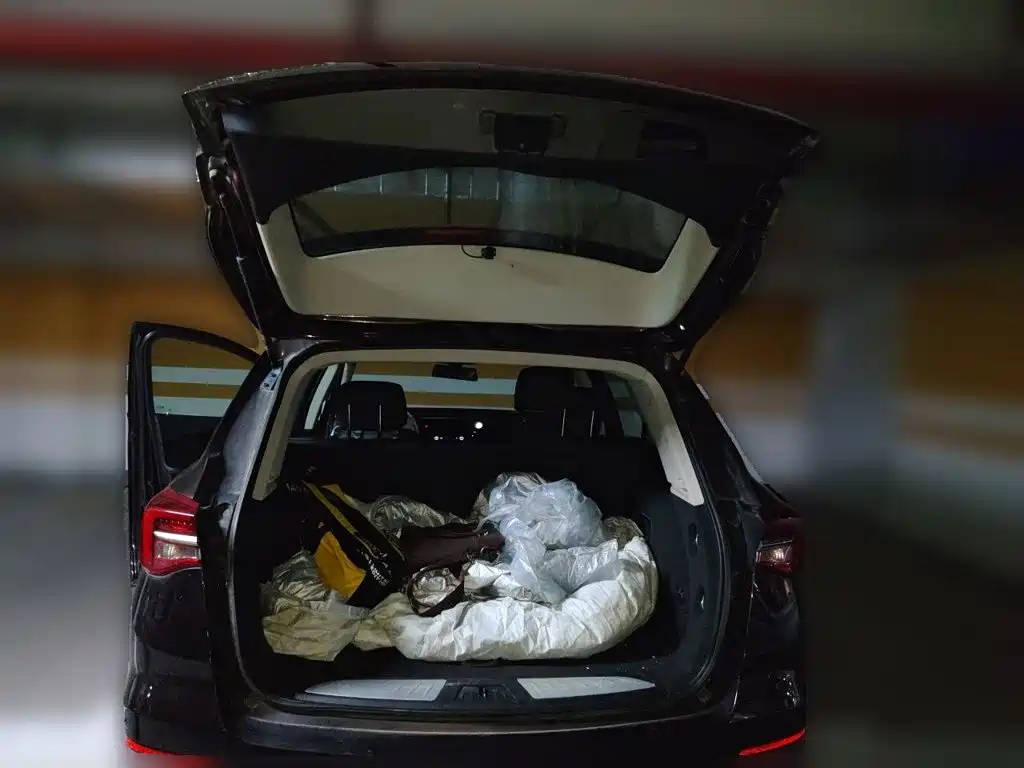 Buick Envision Plus — миниатюра 15