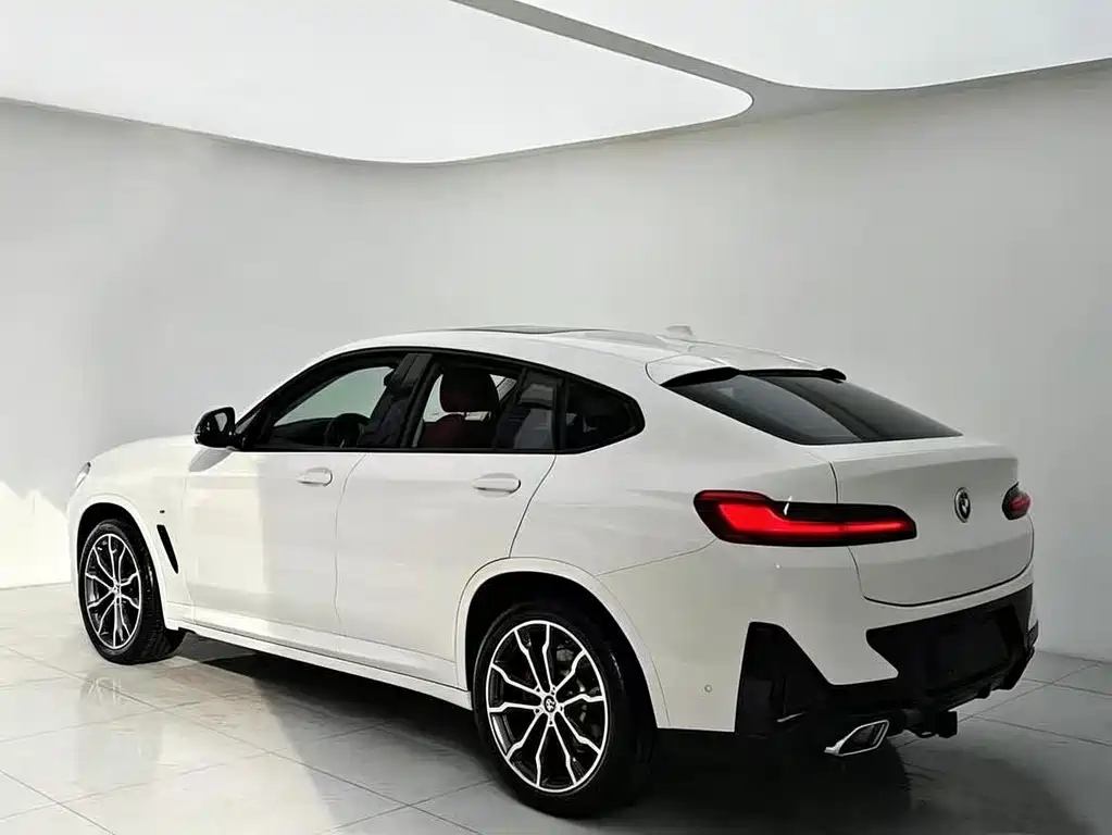 BMW X4 — миниатюра 18