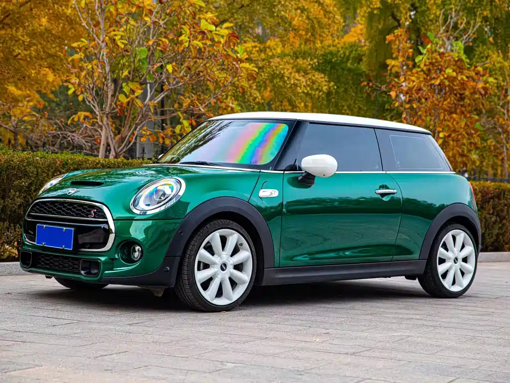 Mini Mini 2021