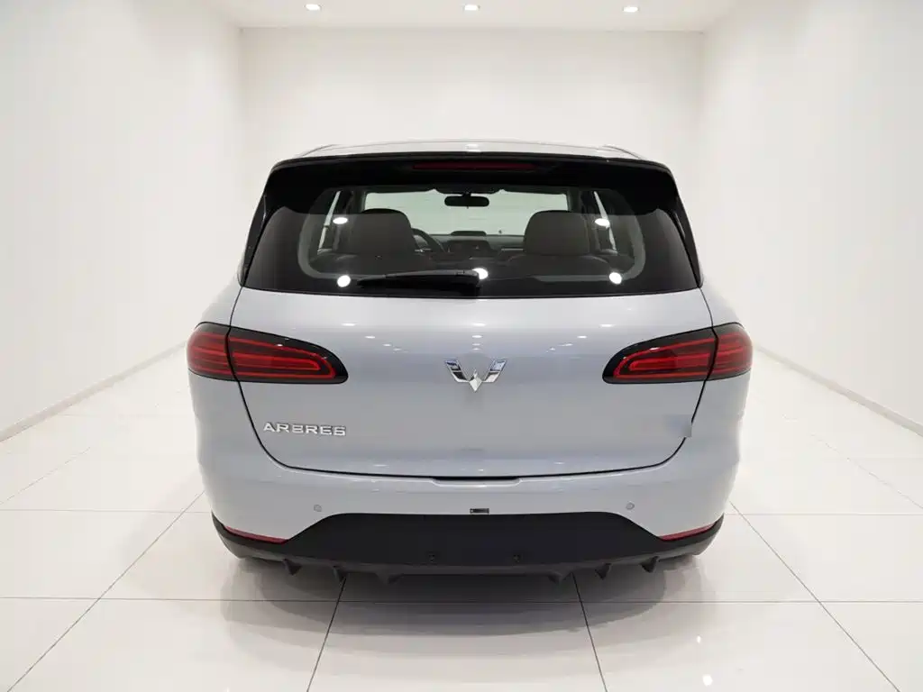 Wuling BinguoPLUS PLUS 2024 510km мест