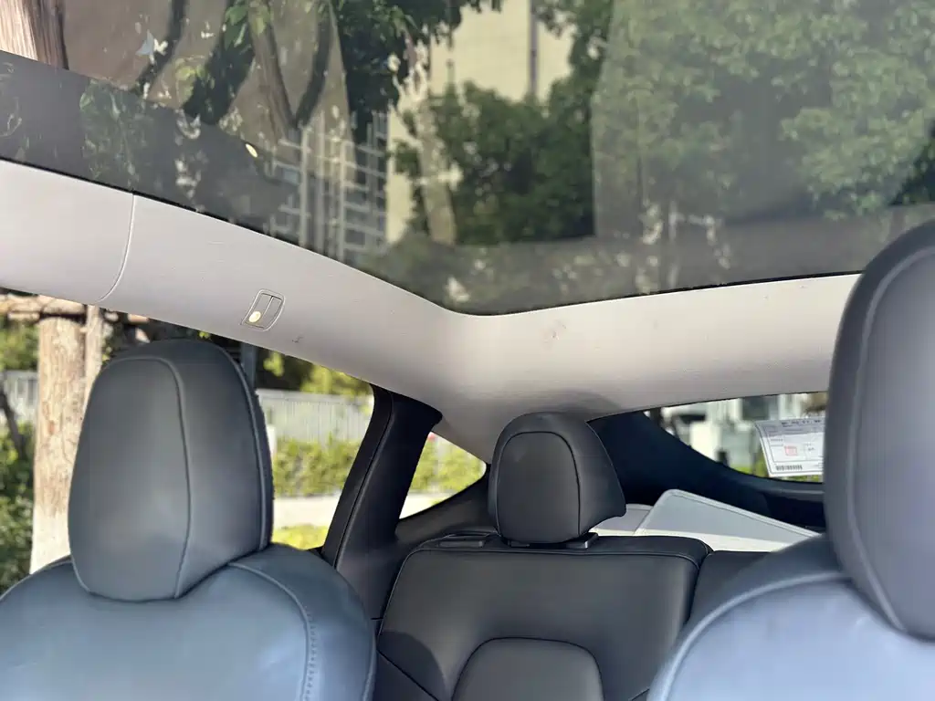 Tesla Model Y — миниатюра 15