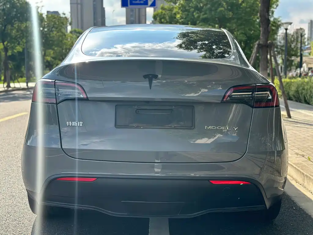 Tesla Model Y — миниатюра 5
