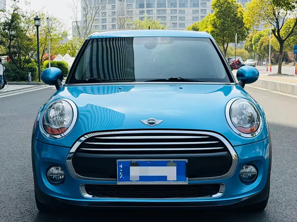 Mini Mini 2016
