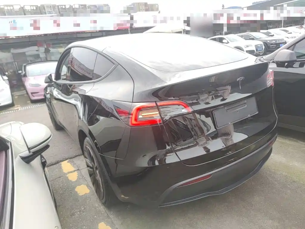 Tesla Model Y — миниатюра 5