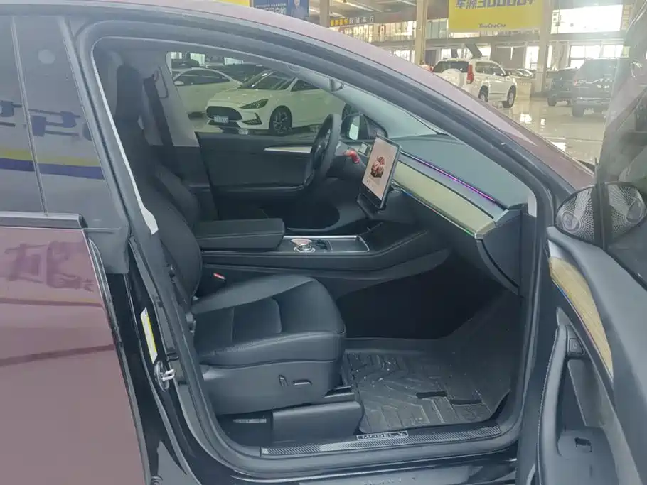 Tesla Model Y — миниатюра 8