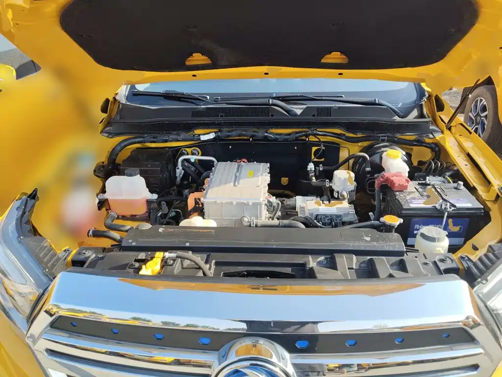 Dongfeng Rich 6 New Energy — миниатюра 20