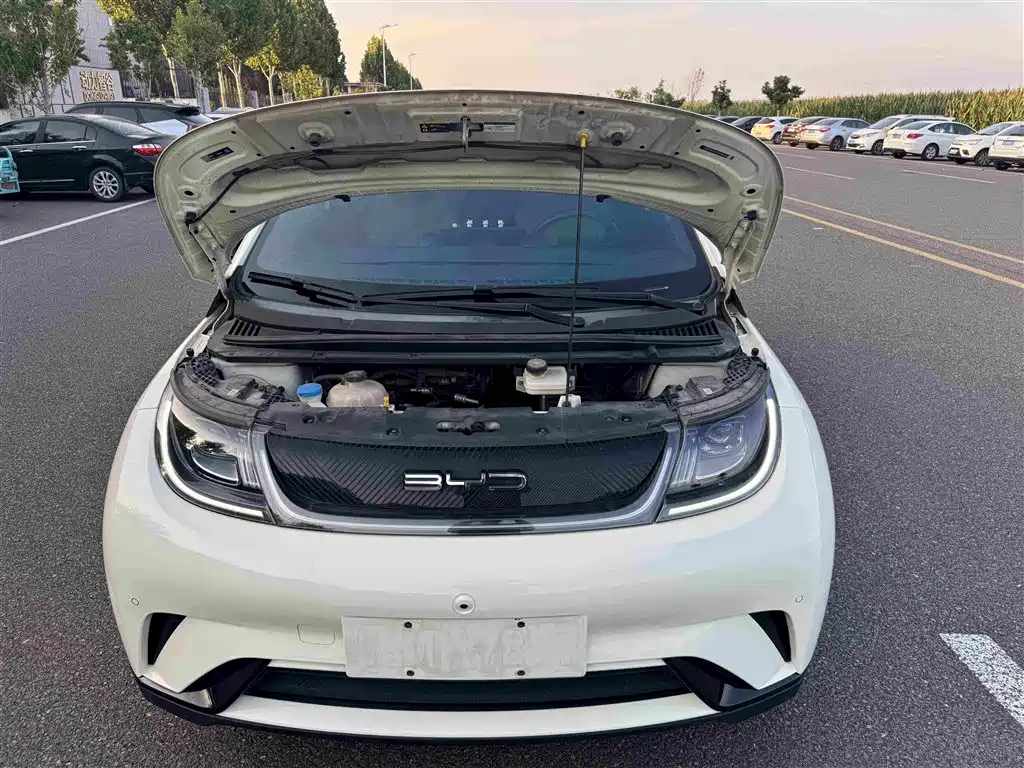 BYD Dolphin — миниатюра 21