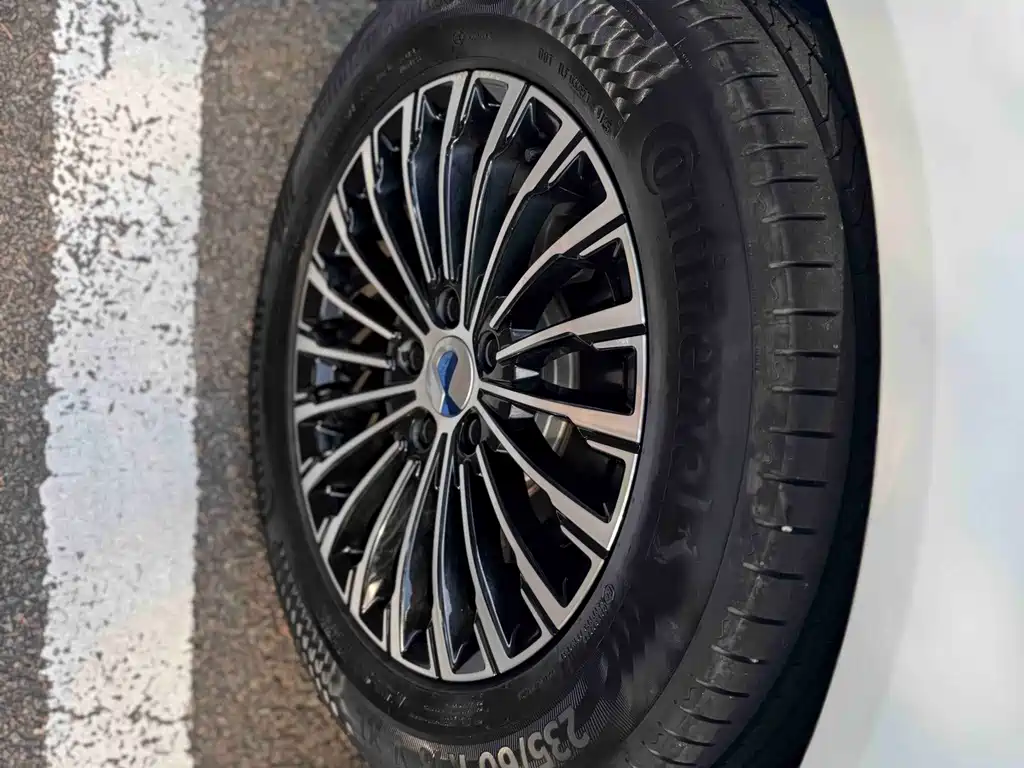 Denza Denza D9 — миниатюра 24