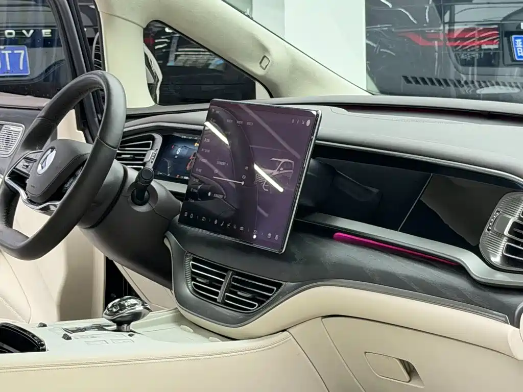 Denza Denza D9 — миниатюра 10