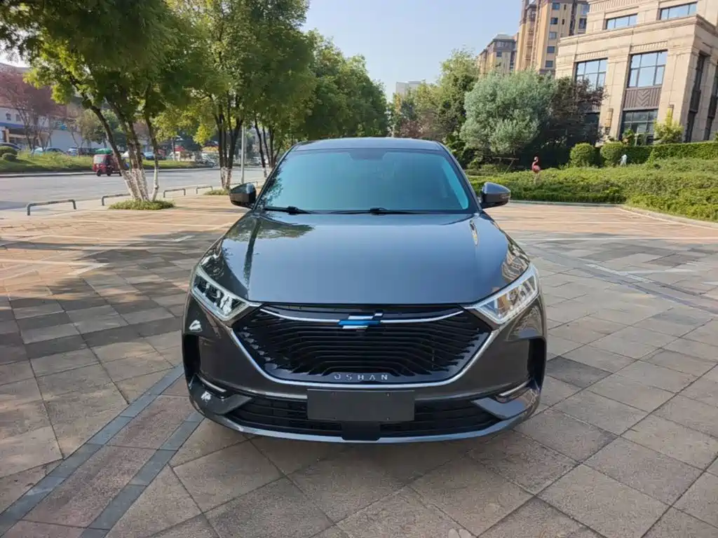 Oshan Oushang X7 — миниатюра 3