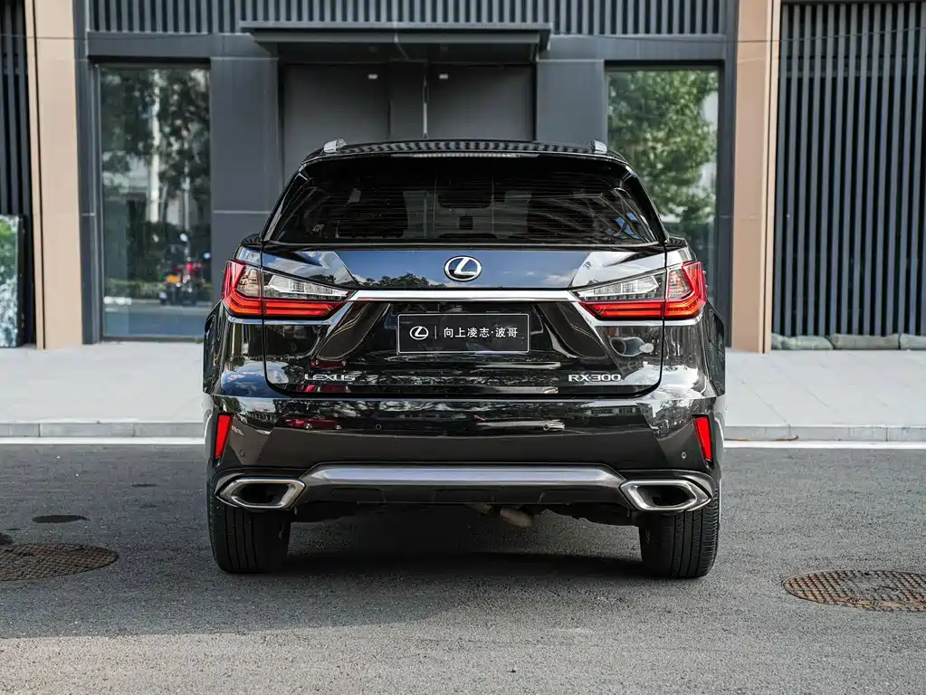 Lexus RX — миниатюра 5