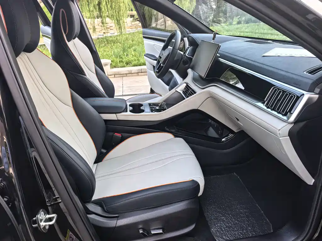 BYD PLUS New Energy — миниатюра 10