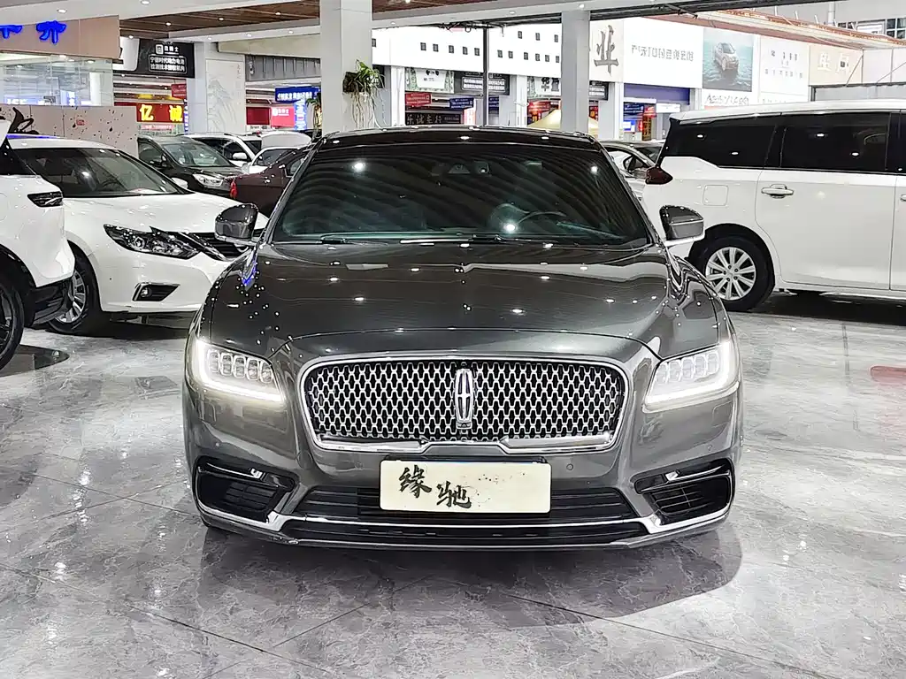Lincoln Continental 3.0T 4WD Premium Shine Edition, фото 2