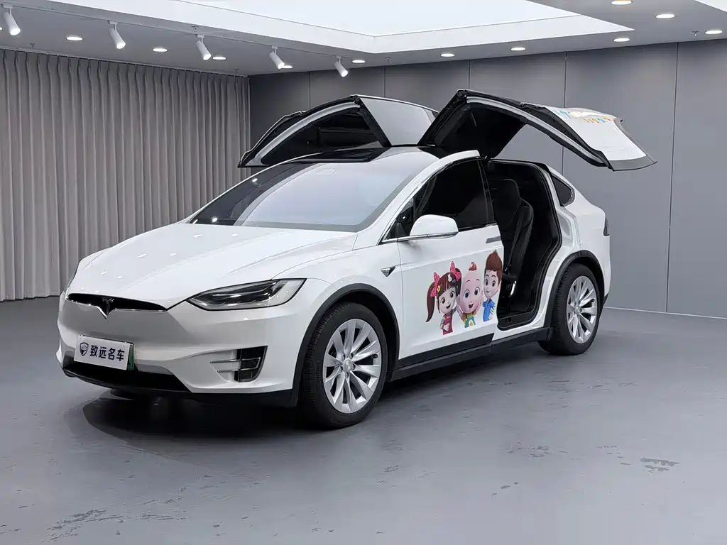 Tesla Model X — миниатюра 28