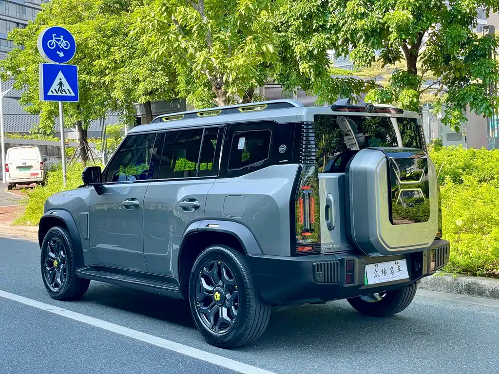 Shanhai Traveller C-DM — миниатюра 5