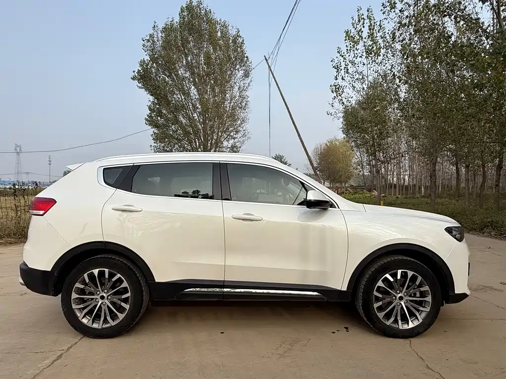 Haval H6 — миниатюра 8