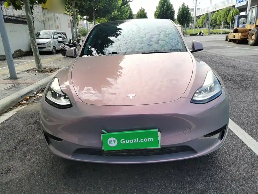 Tesla Model Y — миниатюра 3
