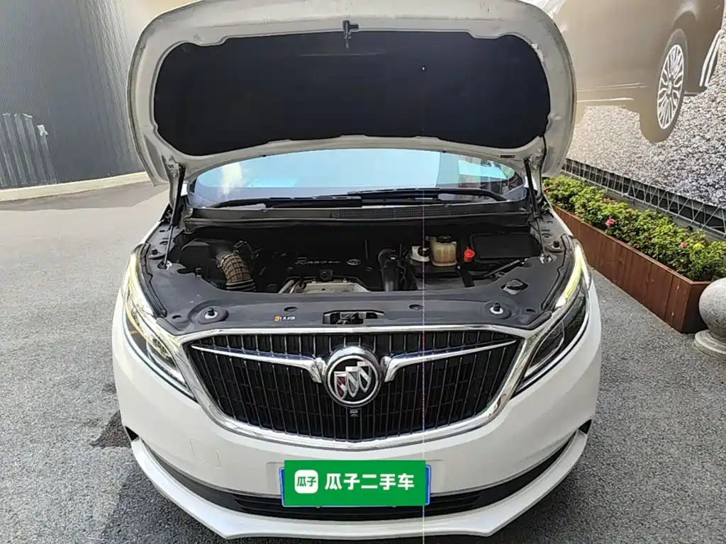 Buick GL8 — миниатюра 20