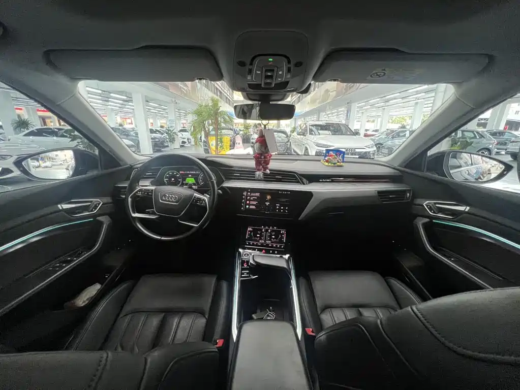 Audi e-tron (Import) — миниатюра 13