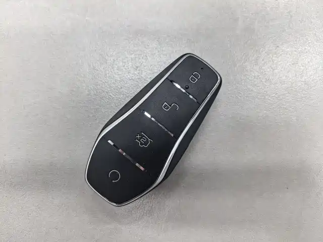 BYD Qin Plus PLUS 2023 Champion DM-i 55KM Lead