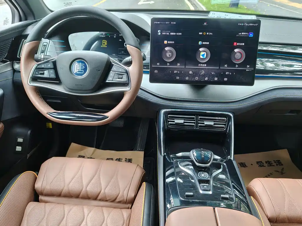 BYD Tang New Energy — миниатюра 8
