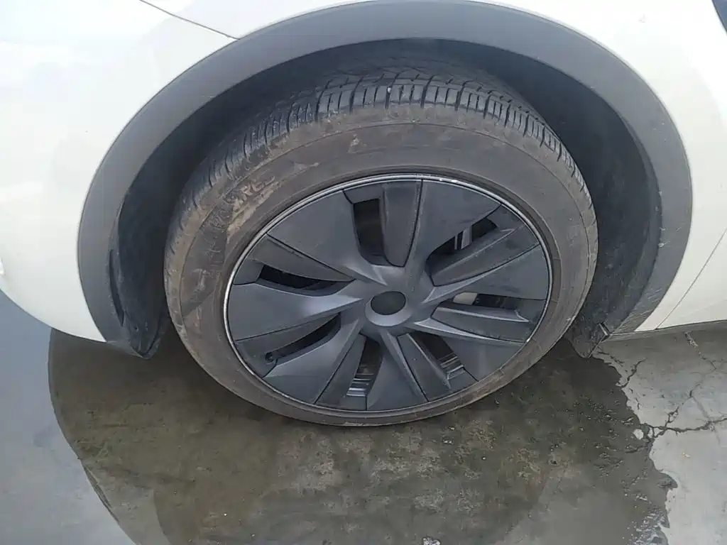 Tesla Model Y — миниатюра 23
