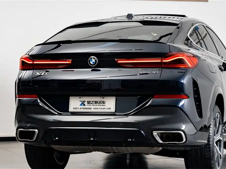 BMW X6