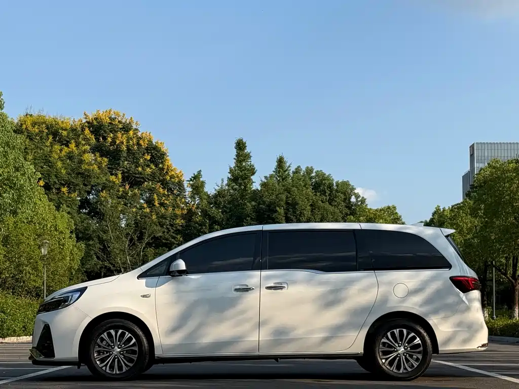 Buick GL8 — миниатюра 3