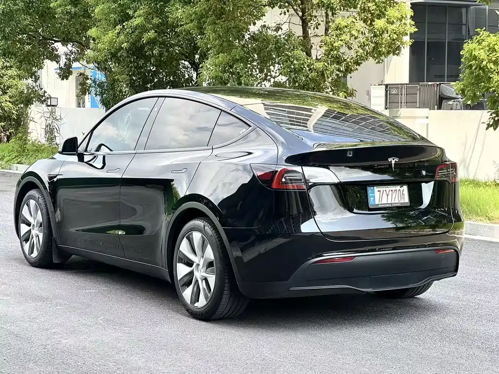 Tesla Model Y — миниатюра 4