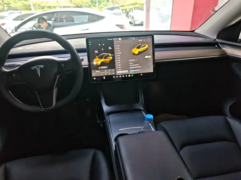 Tesla Model Y — миниатюра 10