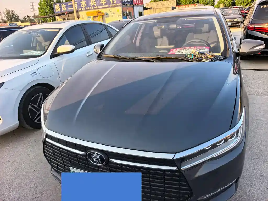 BYD Qin NEV 2019 Luxury