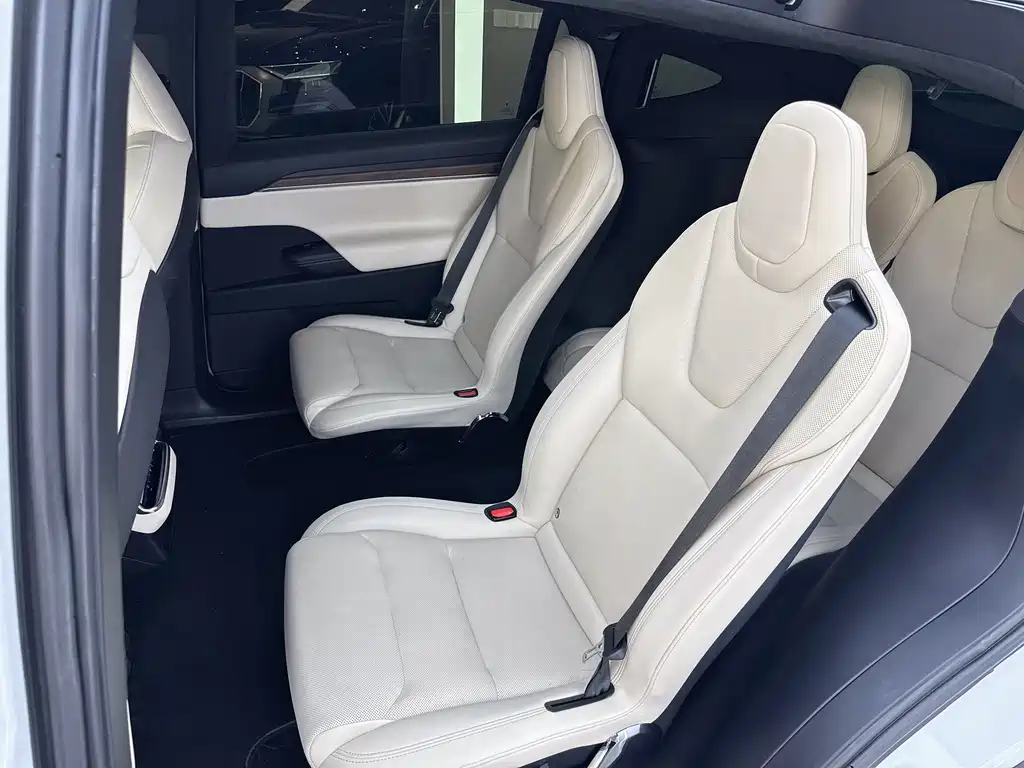 Tesla Model X — миниатюра 5
