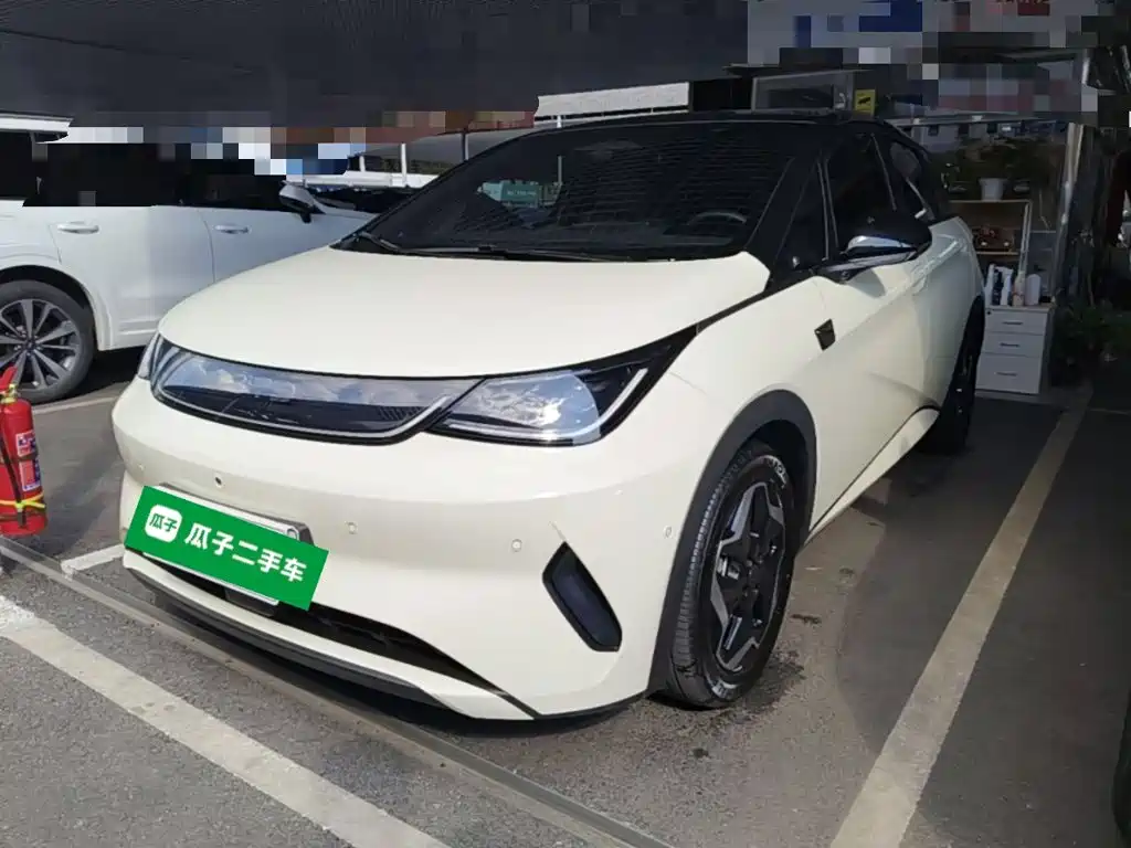 BYD Dolphin — миниатюра 2