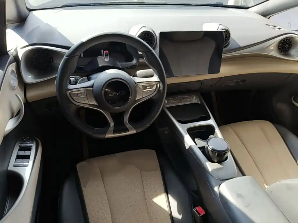 BYD Dolphin — миниатюра 10