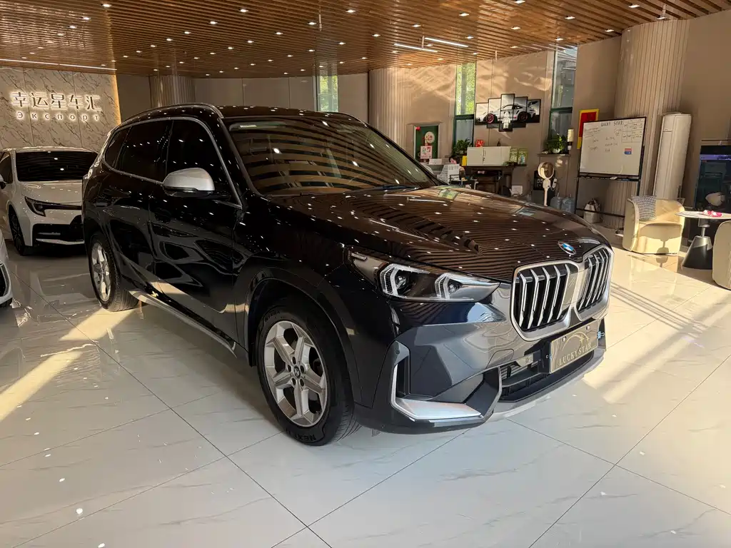 BMW X1 — миниатюра 7