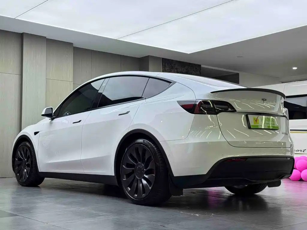 Tesla Model Y — миниатюра 6