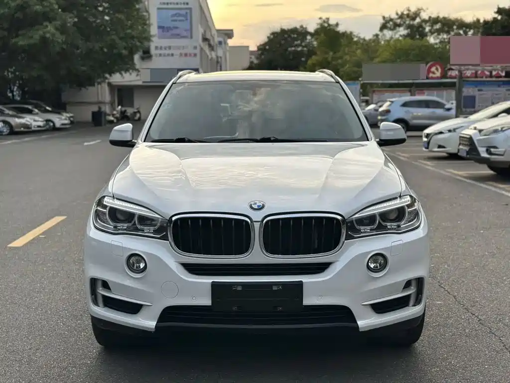 BMW X5 (Import) — миниатюра 2