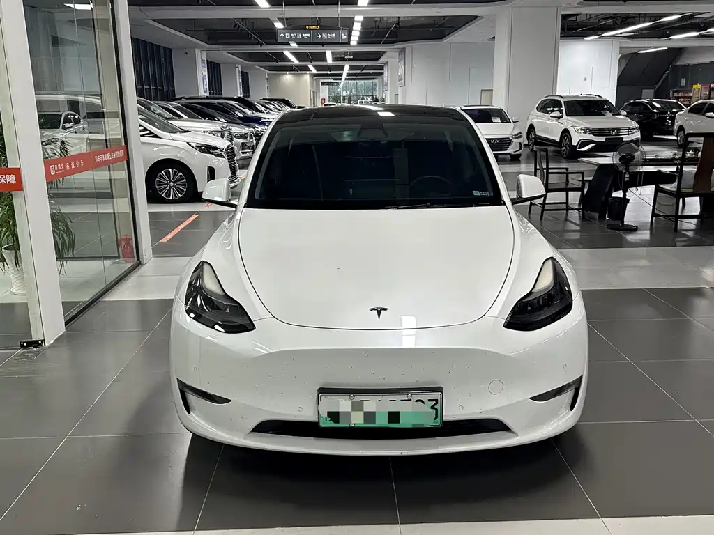 Tesla Model Y — миниатюра 2