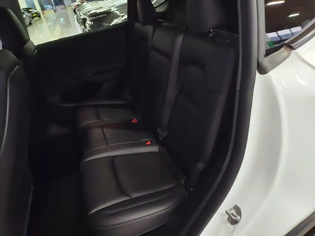 Tesla Model Y — миниатюра 17