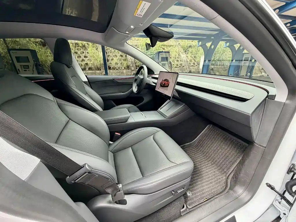 Tesla Model Y — миниатюра 12