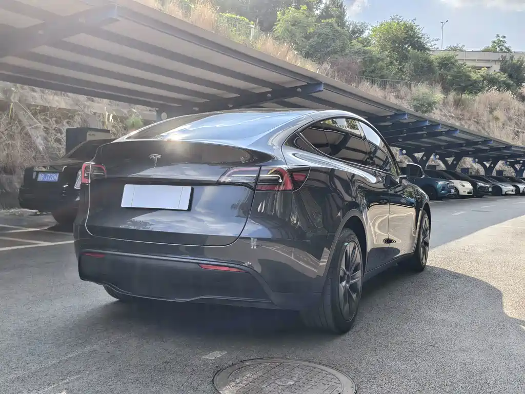 Tesla Model Y — миниатюра 12