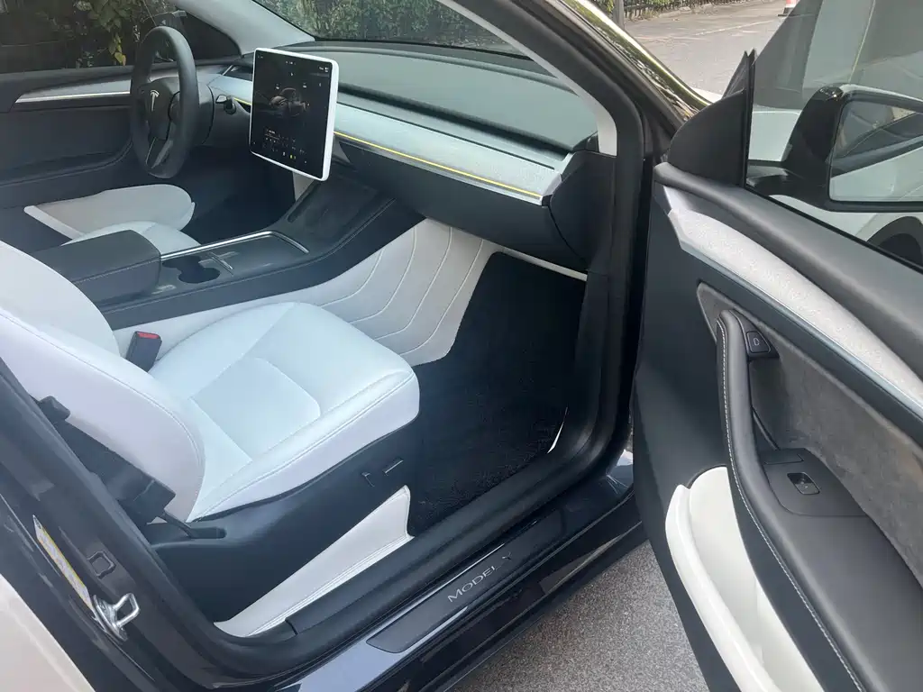 Tesla Model Y — миниатюра 14