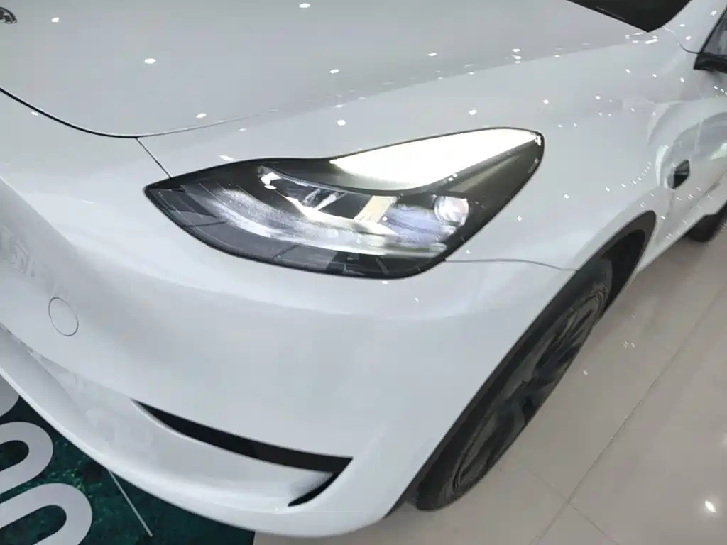 Tesla Model Y — миниатюра 24
