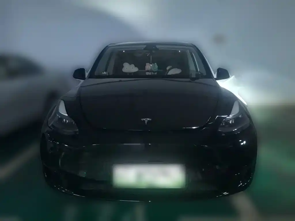 Tesla Model Y — миниатюра 3