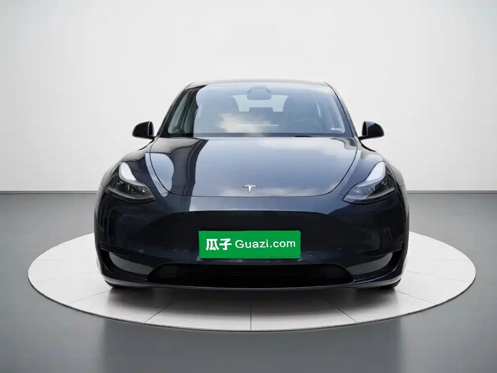 Tesla Model Y — миниатюра 2