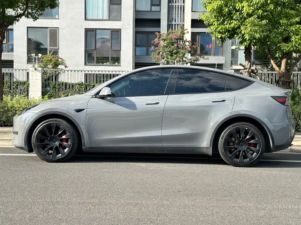 Tesla Model Y — миниатюра 3