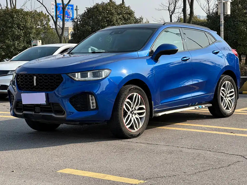 WEI PAI WEI BRAND VV5