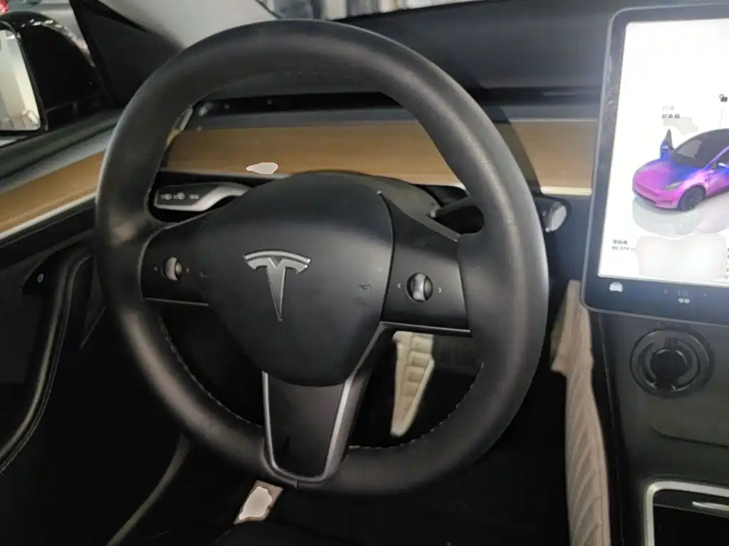 Tesla Model Y — миниатюра 11